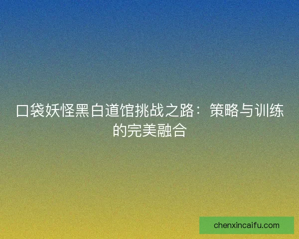 口袋妖怪黑白道馆挑战之路:策略与训练的完美融合 口袋妖怪黑白道馆挑战之路:策略与训练的完美融合