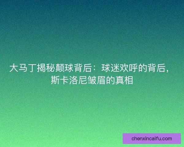 大马丁揭秘颠球背后：球迷欢呼的背后，斯卡洛尼皱眉的真相