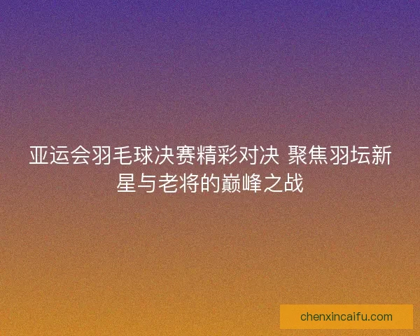 亚运会羽毛球决赛精彩对决 聚焦羽坛新星与老将的巅峰之战